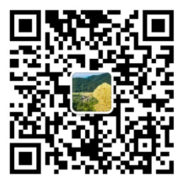 彩神ll登录入口
